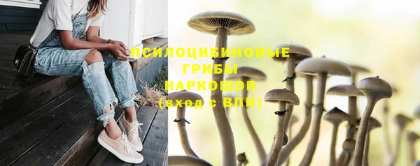 марки nbome Арсеньев